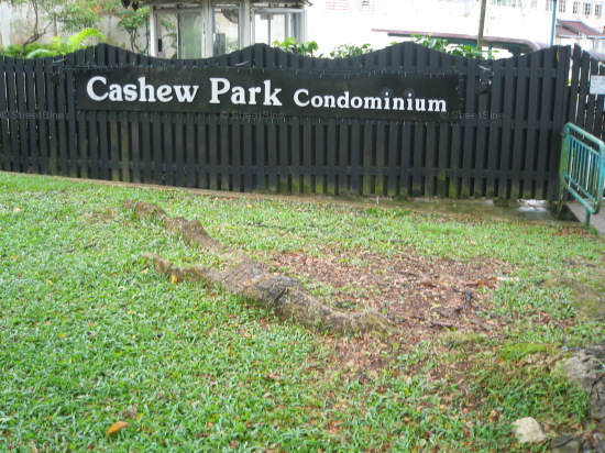 Cashew Park Condominium (D23), Condominium #1133572